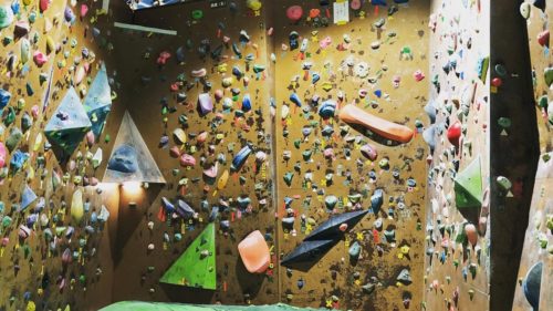 千葉県のクライミング施設「クライミングパーク カルチェロッシュ」